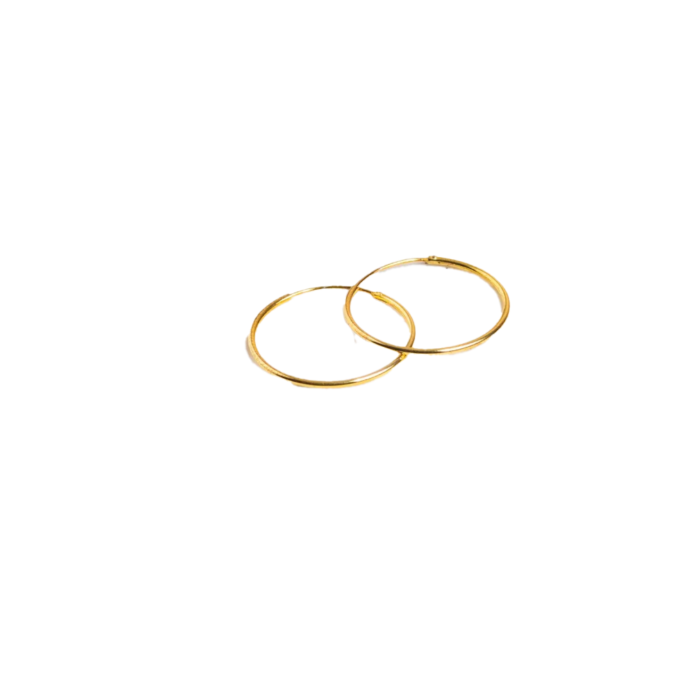 New york collection: Brooklyn G earrings