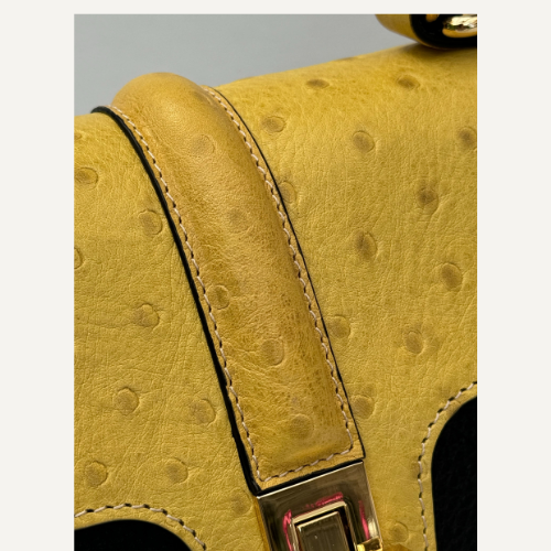 Uncommon collection :The Paris bag