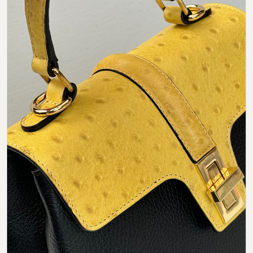 Uncommon collection :The Paris bag