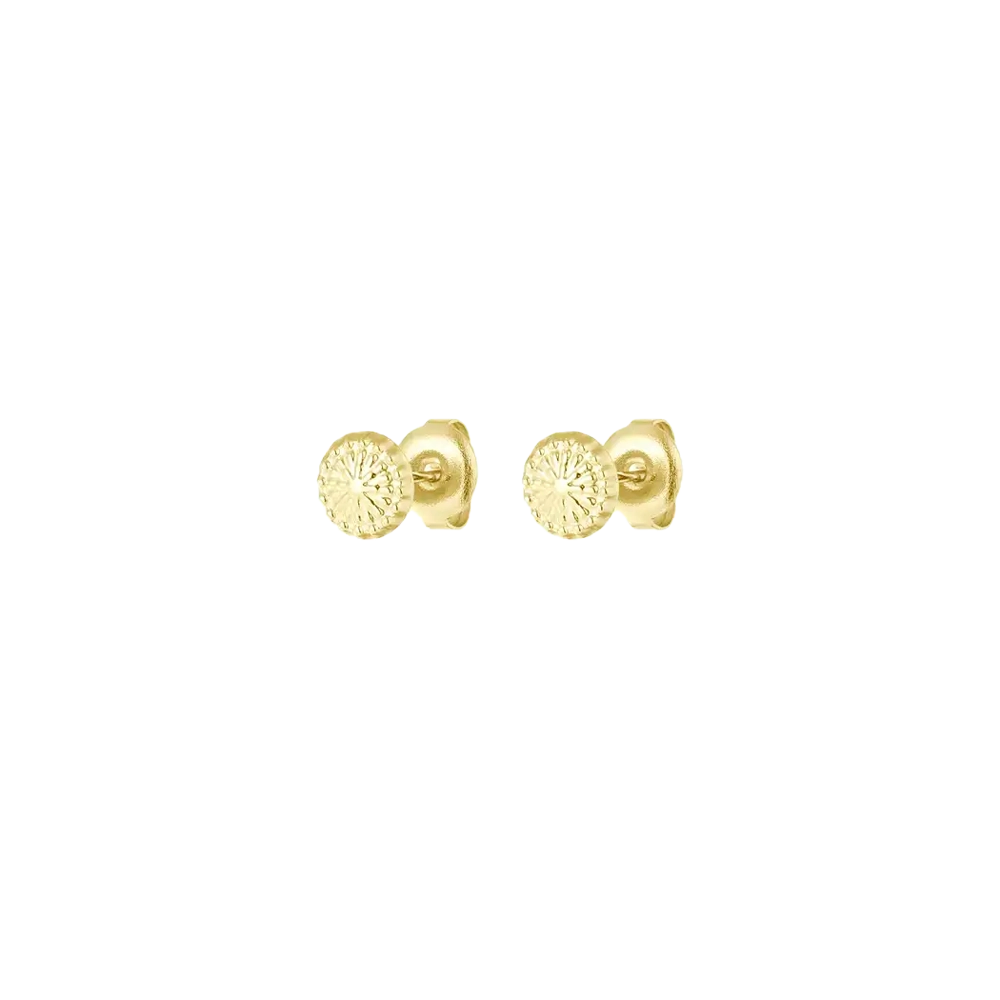 Paris Gold B earrings