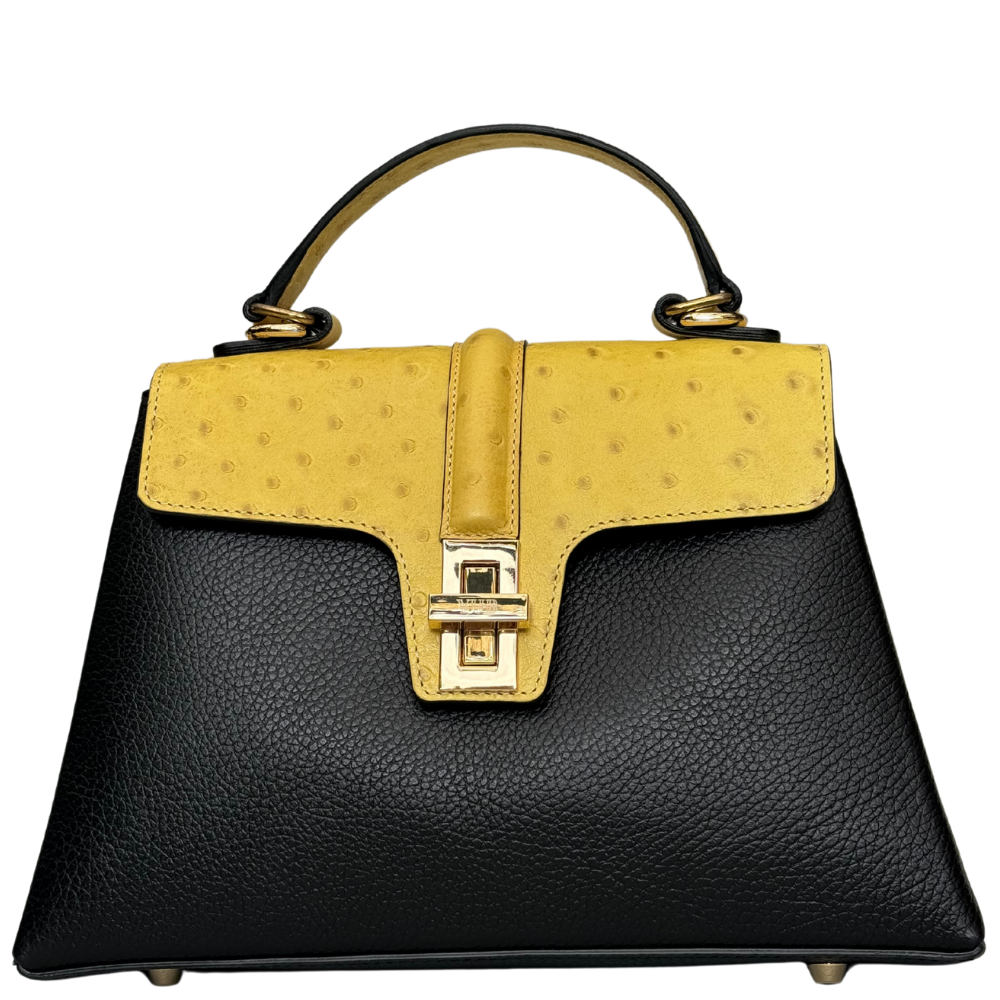 Uncommon collection :The Paris bag